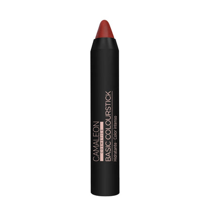 Pintalabios Nude Terra Basic Colourstick 4g Camaleon Cosmetics_0