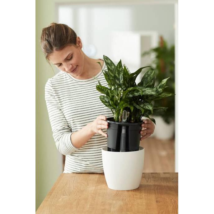 Inserir sistema de rega automática Elho 21 cm