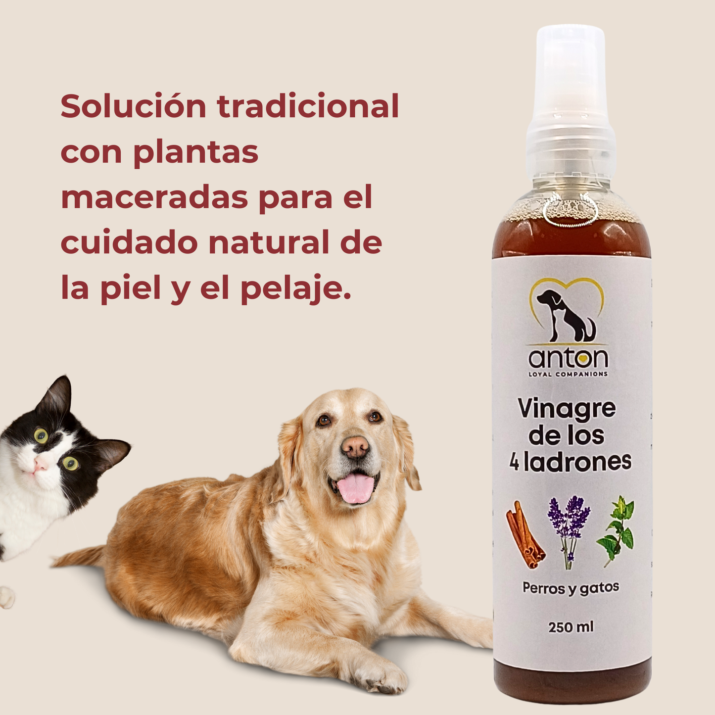 Vinagre de los 4 Ladrones para Perros y Gatos – 250ml_1