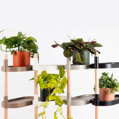 Soporte Modular Citysens De 4 Bandejas Negro, Con 2 Plantas De Regalo_3