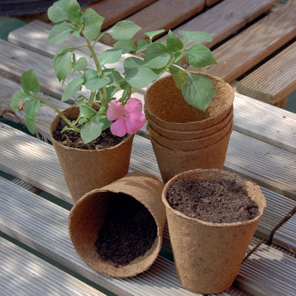 Maceta Compostable Nort Growing Pot Ø 6 Cm 24 Uds Nortene_1