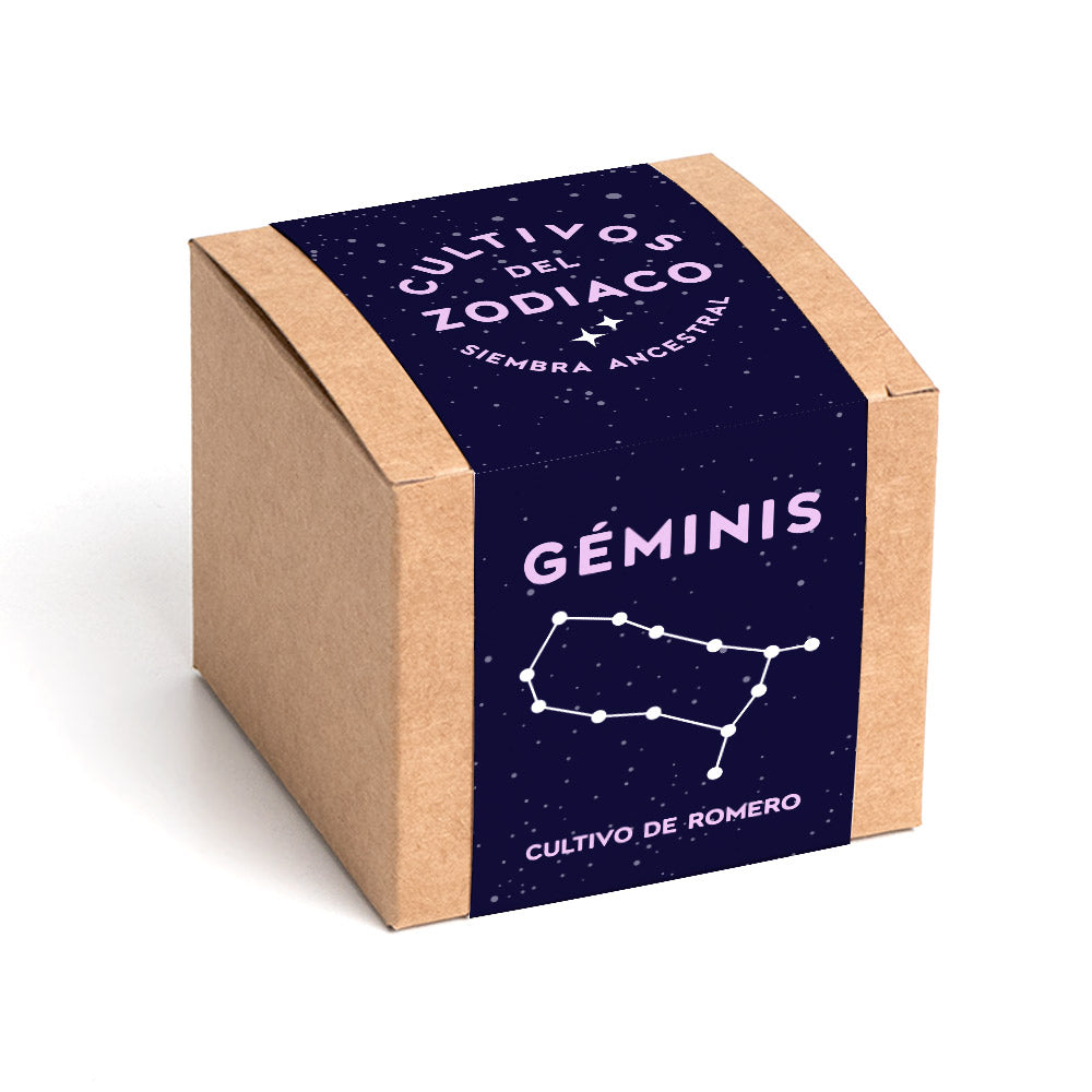Cultivos del Zodiaco – Géminis, Kit de Cultivo con Semillas de Romero - Resetea_0