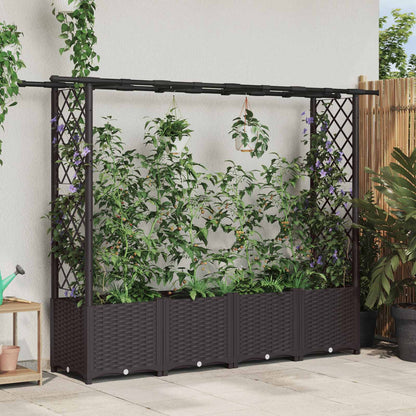 Cama Elevada Con Trellis Y Techo Marrón 203 X 40 X 136 Cm Pp_1