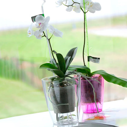 Maceta Coubi Orchid 2,4l., Dimensiones (mm) 160x160x183, Color Transparente