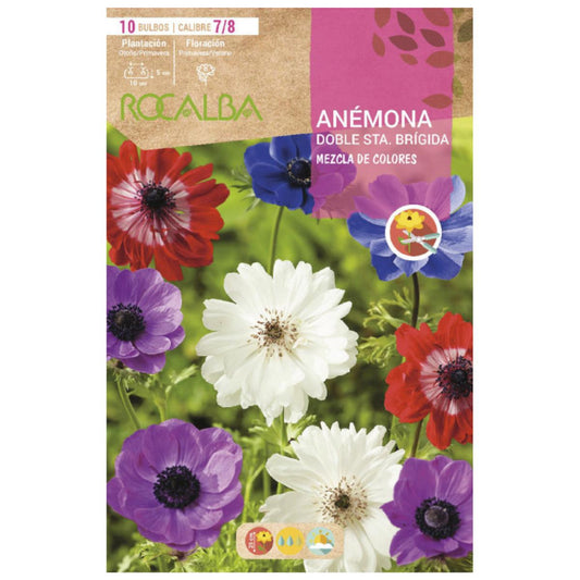 Bulbo de Anémona Duplo Sta. Brígida mix 10 unidades Rocalba