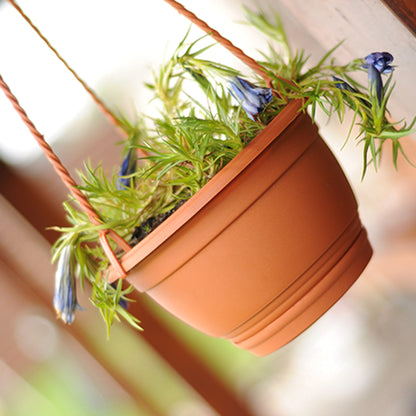 Macetero Colgante Agro 0,8l., Dimensiones (mm) 160x160x100, Color Terracota