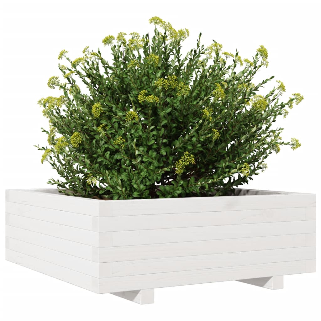 Jardinera De Madera Maciza De Pino Blanco 70x70x26,5 Cm_3