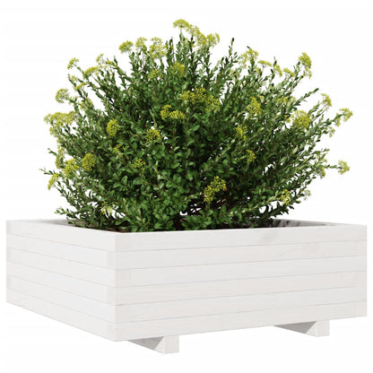 Jardinera De Madera Maciza De Pino Blanco 70x70x26,5 Cm_3