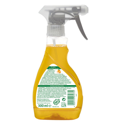 Spray lavavajillas Naranja Frosh 300 ml