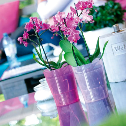 Maceta Coubi Orchid 1,1l., Dimensiones (mm) 125x125x147, Color Violeta Transparente