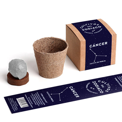 Cultivos Del Zodiaco – Cáncer | Kit De Cultivo Con Semillas De Perejil_1