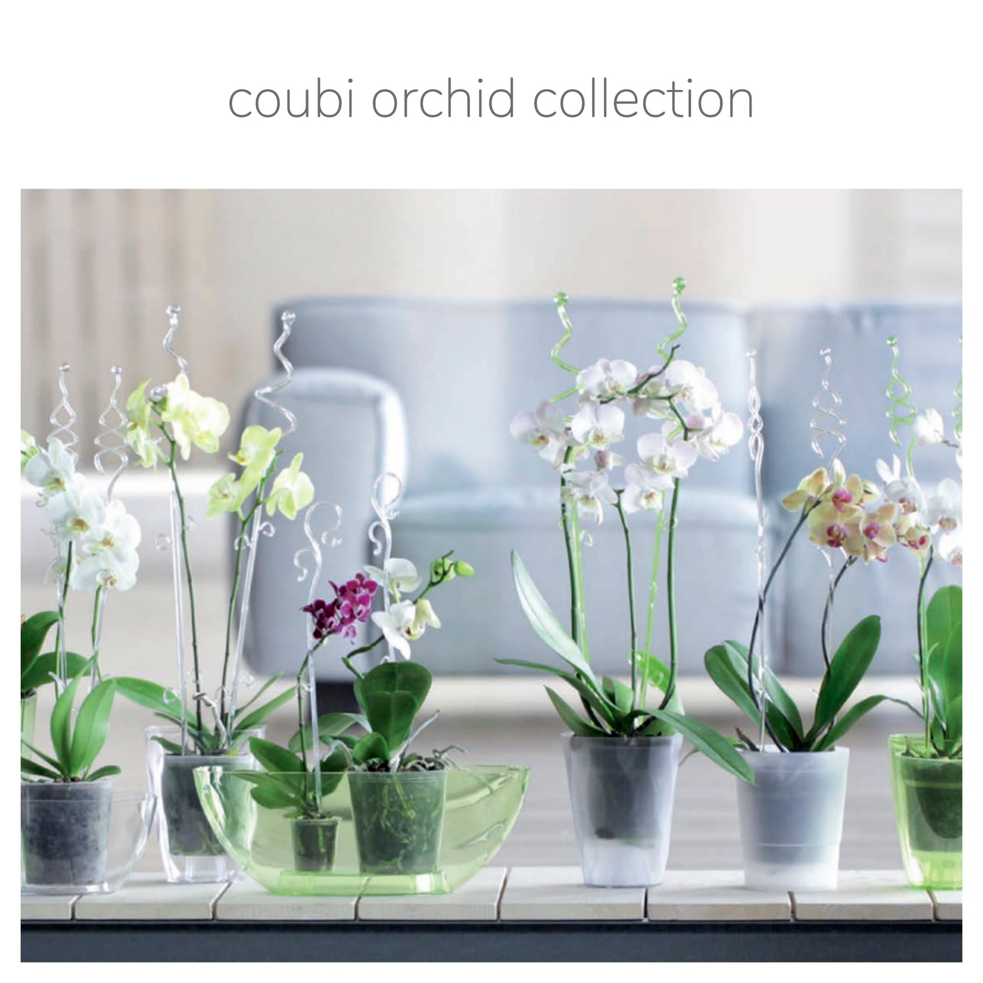 Maceta Coubi Orchid 3,8l., Dimensiones (mm) 360x150x132, Color Transparente