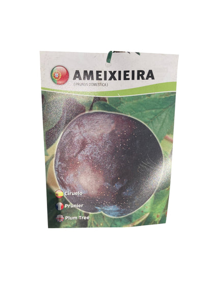 Frutal Ciruelo Negro Cepellón 140 CM_1
