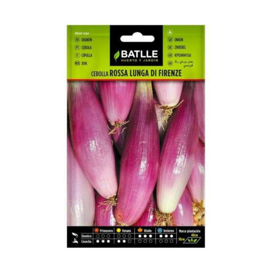 Sementes de cebola rosa Lung Firenza