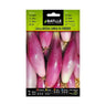 Sementes de cebola rosa Lung Firenza