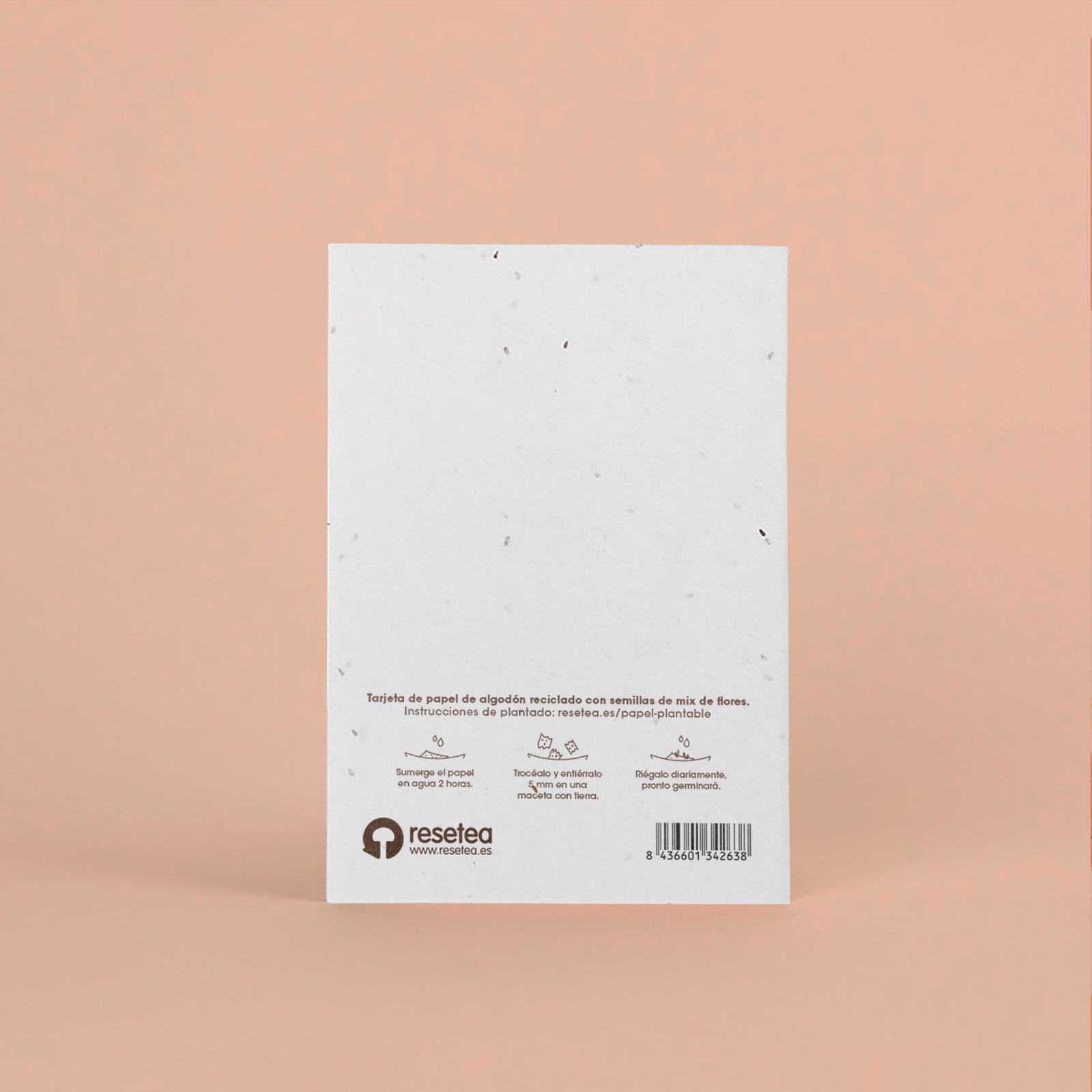 Postal Plantable Que La Naturaleza Te Acompañe – Tarjeta Original Que Florece Con Mensajes Significativos | Resetea_1