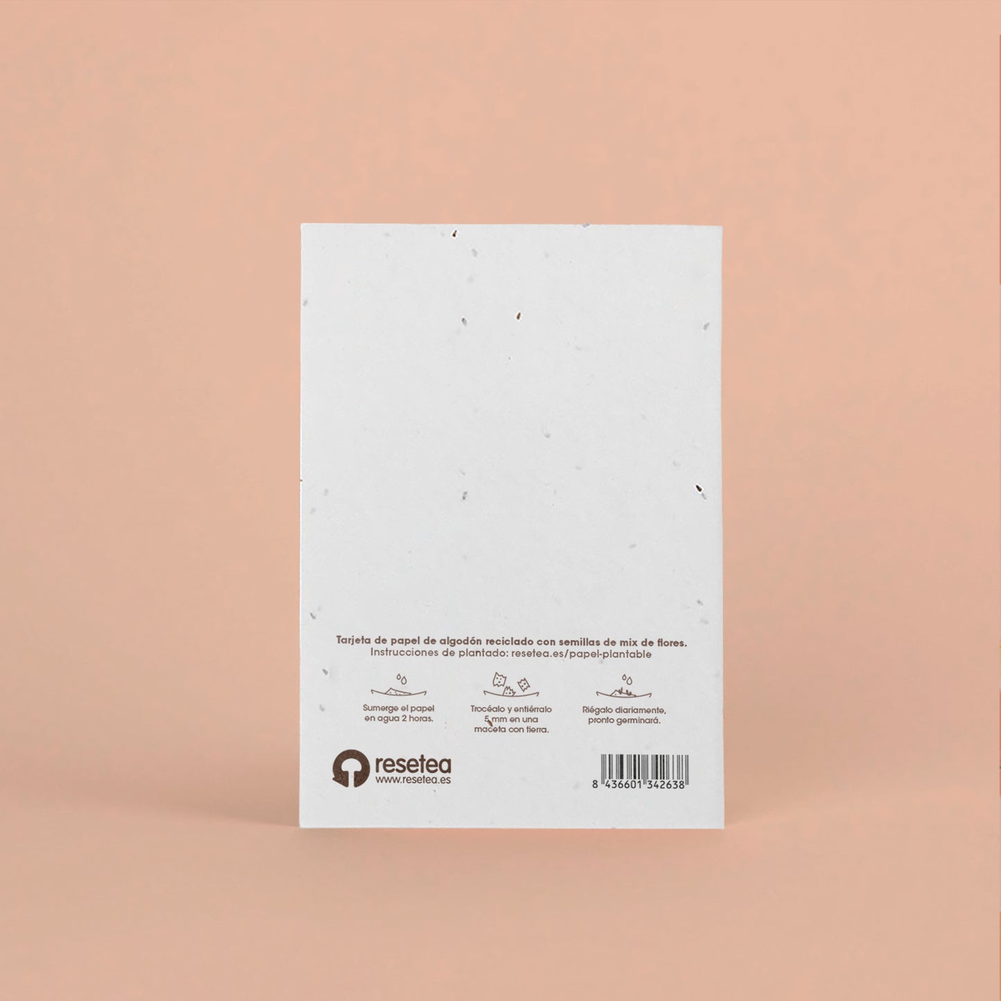 Postal Plantable "Que la Naturaleza te Acompañe" con Semillas de Flores – Tarjeta Original - Resetea_1