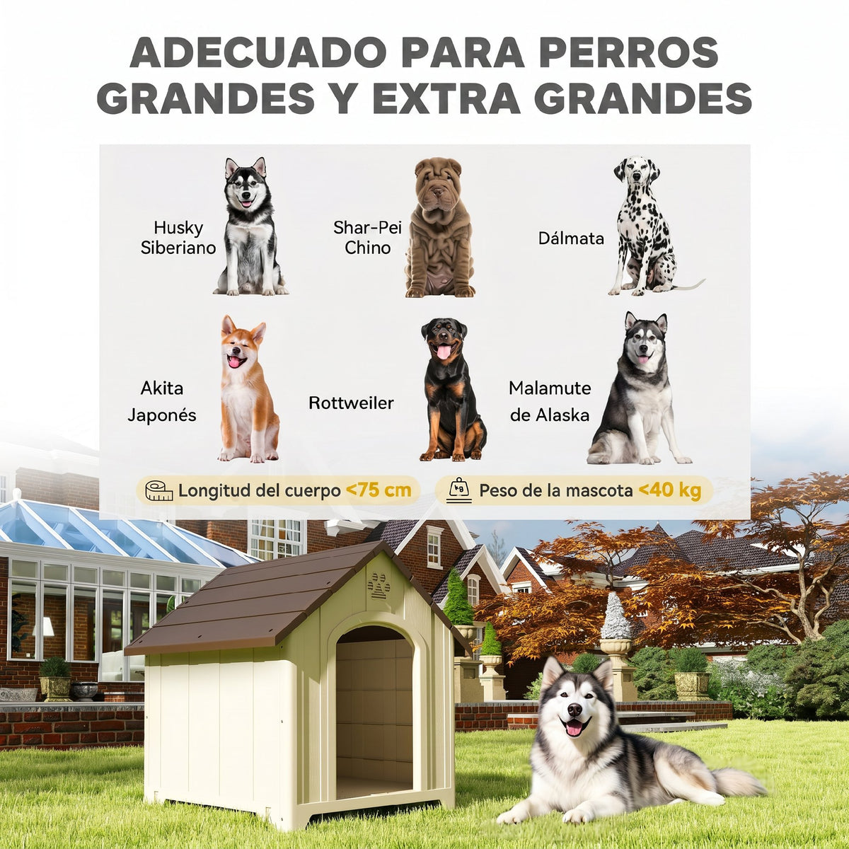 Pawhut Caseta Para Perros Grandes Exterior De Plástico Impermeable Beige_4