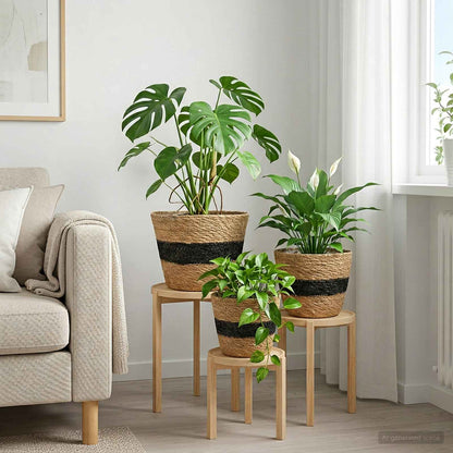 Plant Pot 3 Uds. Natural Y Negro Ø26 X 19 Cm 100% Hierba Marina_1