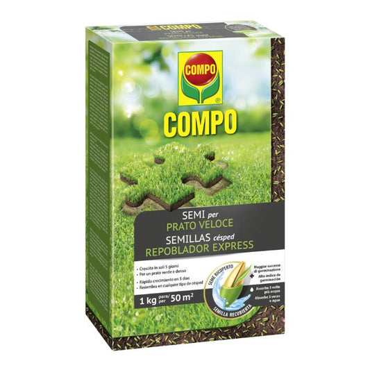 Sementes de erva Compo 1 kg