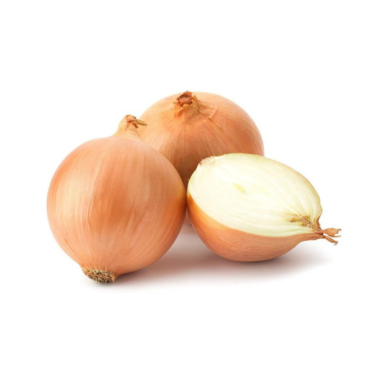 Mudas de cebola branca, 6 unidades, linha tradicional