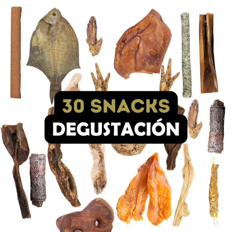Bimordiscos Pack Degustación Mensual: 30 Snacks Para Perros