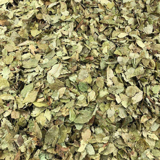 Hojas De Arándano Orgánico Granel 0,5 Kg_0