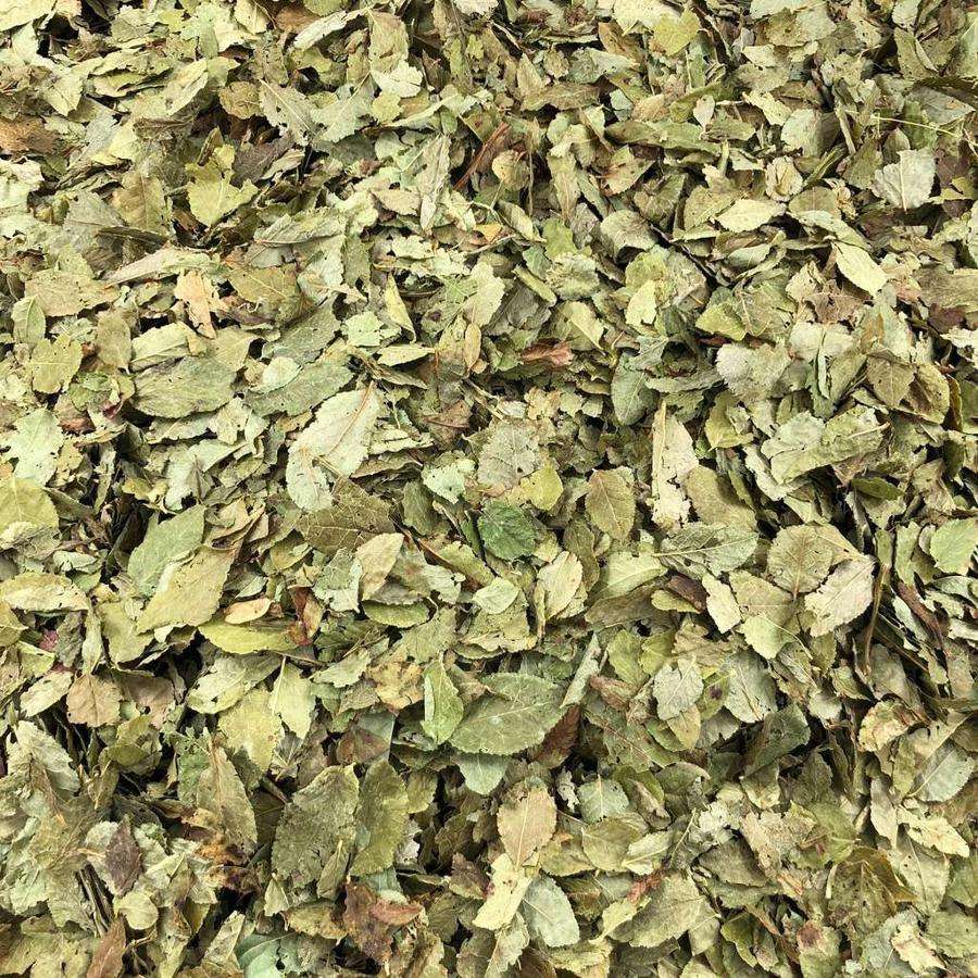 Hojas De Arándano Orgánico Granel 0,25 Kg_0