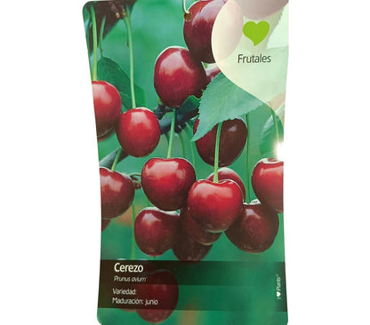 Cerezo Van M22 150cm_1