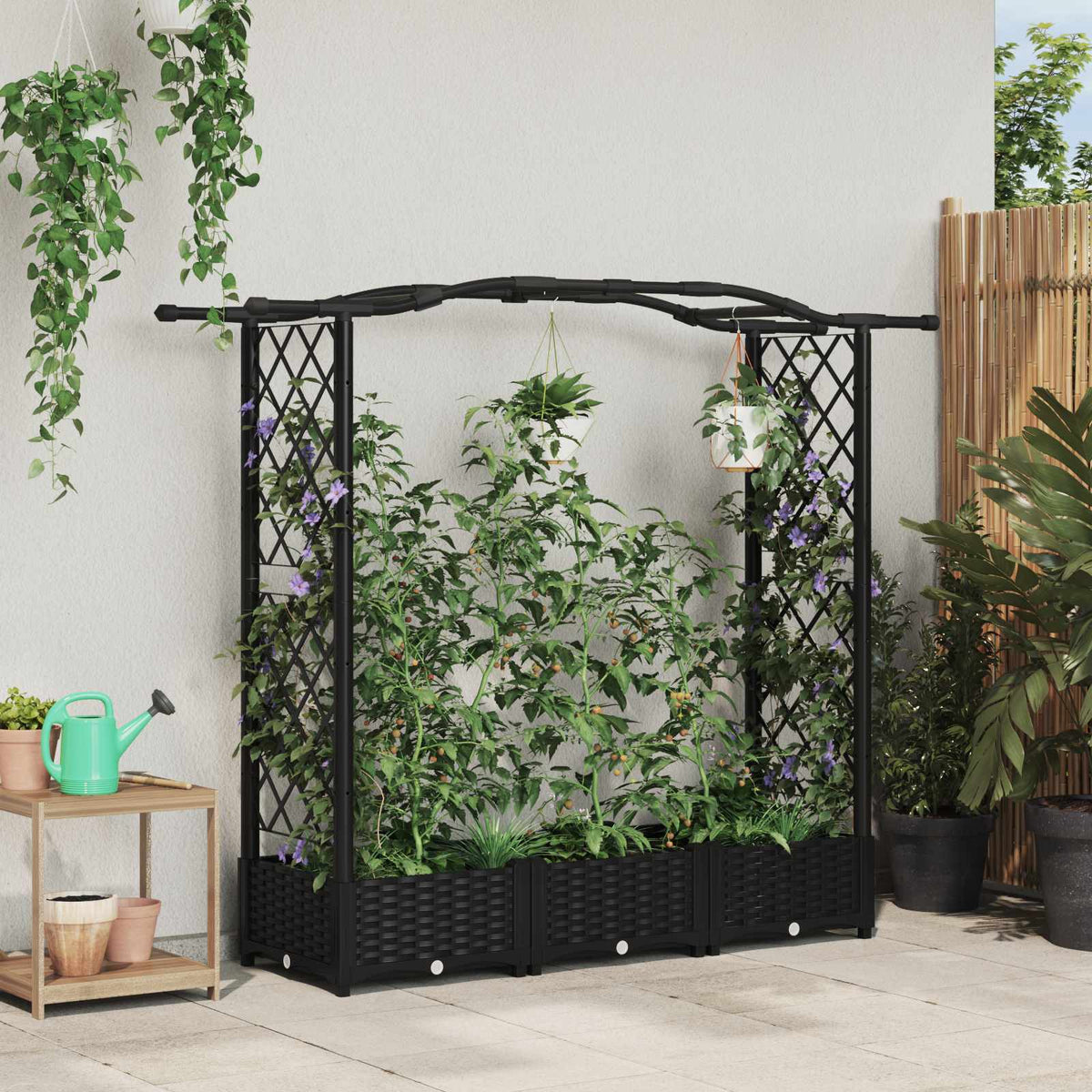 Cama Elevada Con Trellis Y Techo Negro 169 X 40 X 123 Cm Pp_1