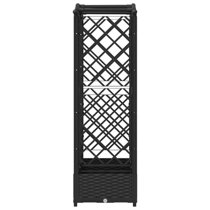 Cama Elevada Con Trellis Y Techo Negro 169 X 40 X 123 Cm Pp_4