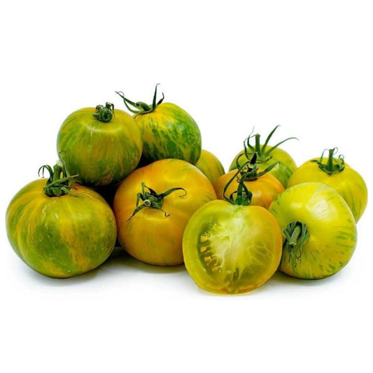 Muda de tomate cereja zebra em vaso de 11 cm