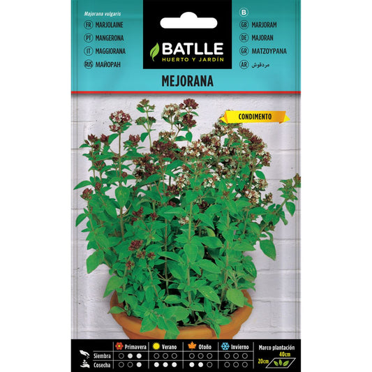 Sementes de manjerona Batlle