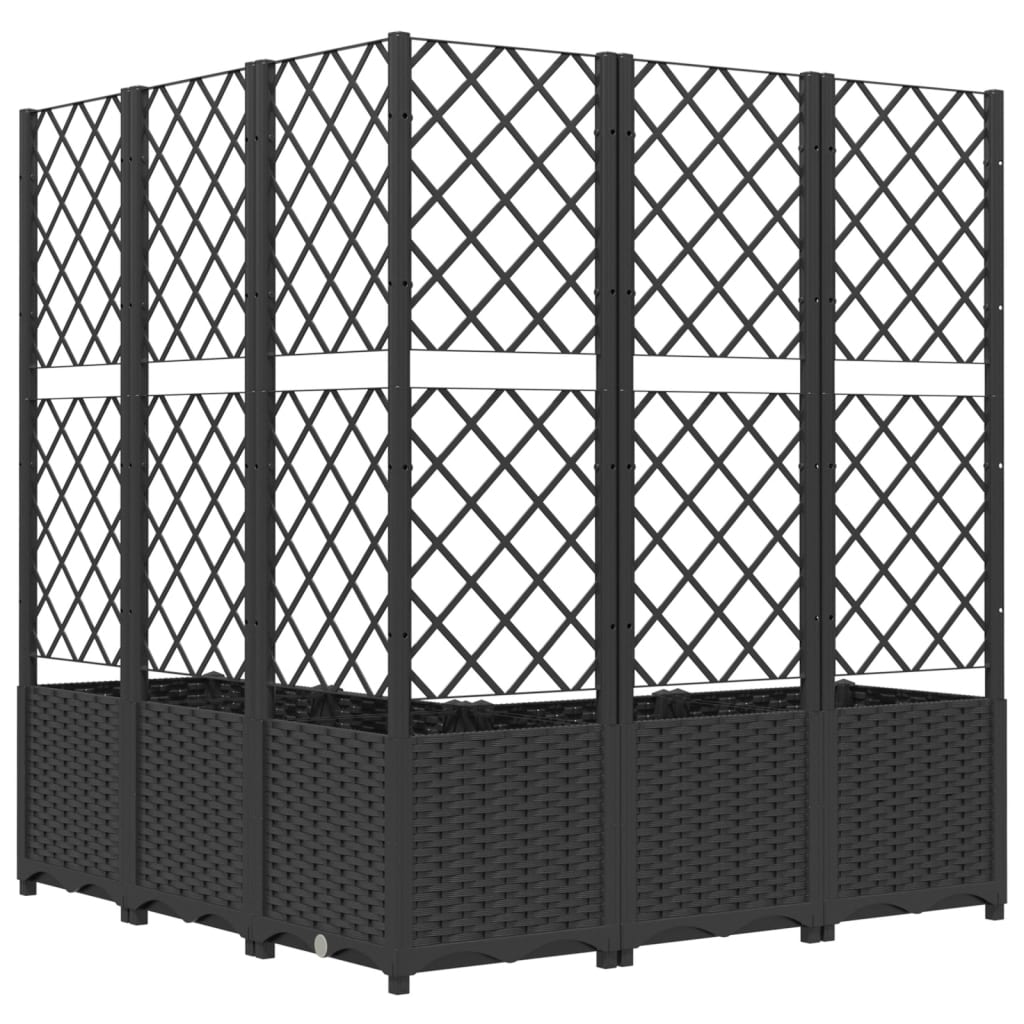 Jardín Negro 120 X 120 X 136 Cm_2