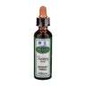 Bach Recovery Plus 20ml Santiveri