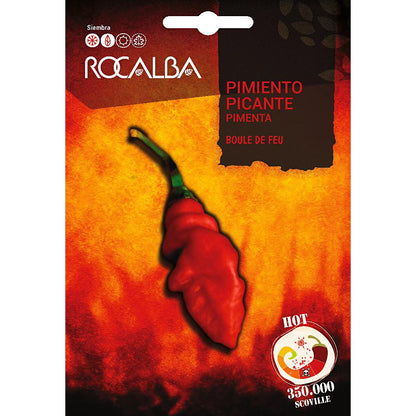 Sementes Boule De Feu de Pimenta Rocalba