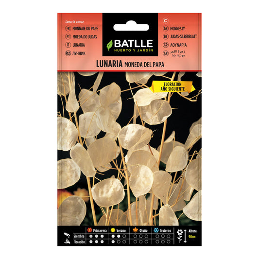 Lunaria semeia moeda do Papa Batlle