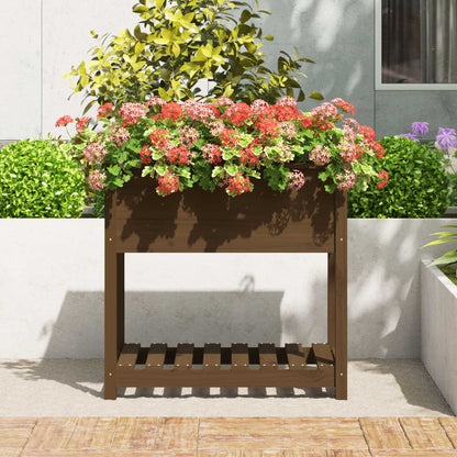 Jardinera Con Estante Madera Maciza Marrón Miel 82,5x54x81 Cm_2