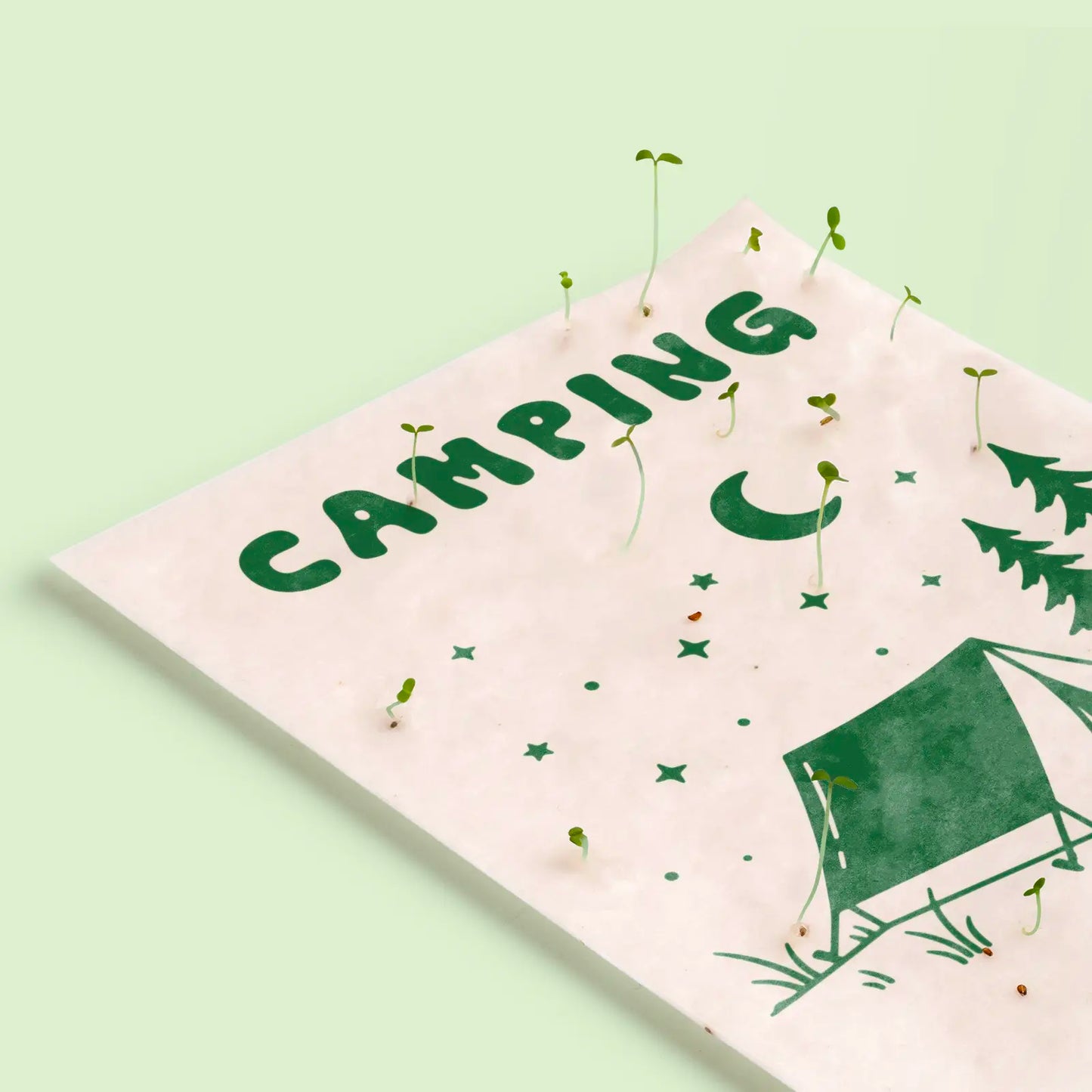Postal Plantable - Camping_2