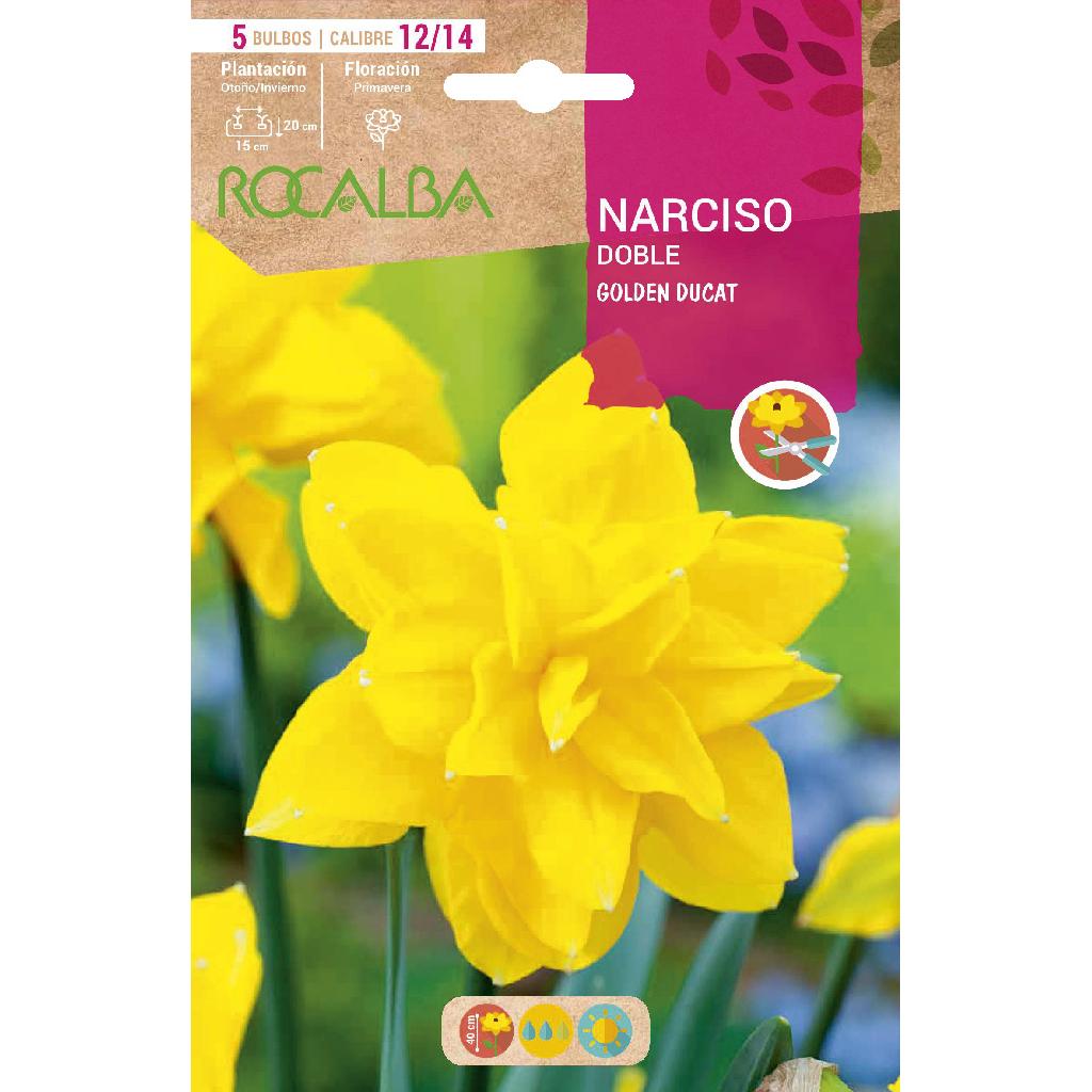 Bulbo Duplo Narciso Amarelo Ducat Dourado 5 unidades Rocalba