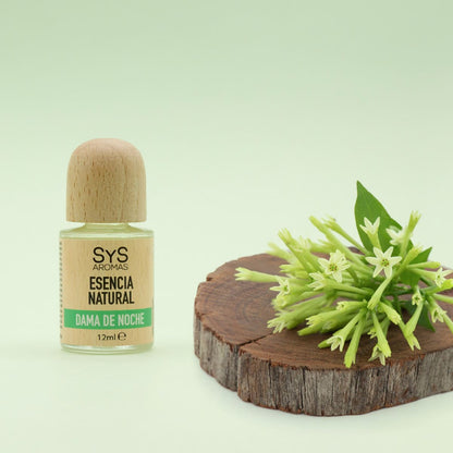 Esencia Aromática Dama De Noche 12 Ml | Aroma Floral Intenso | Fragancia Nocturna | Perfume Concentrado_1