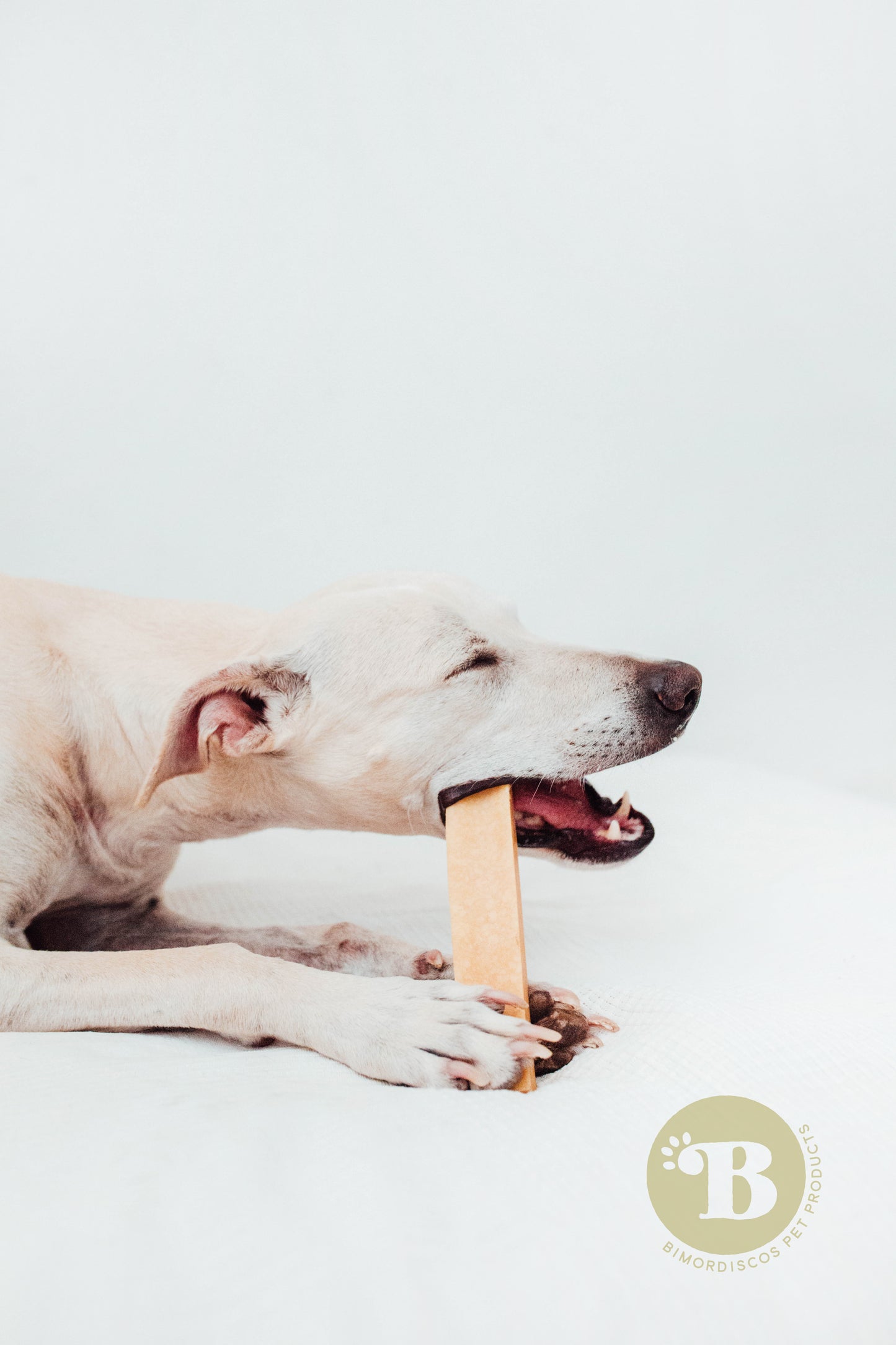 Bimordiscos Hueso De Queso Para Perros.