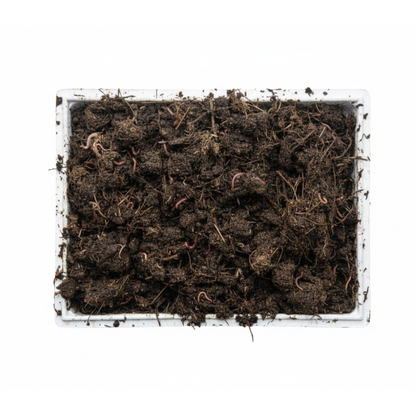 Caja Para Compostador (lombriz Roja De California)_0
