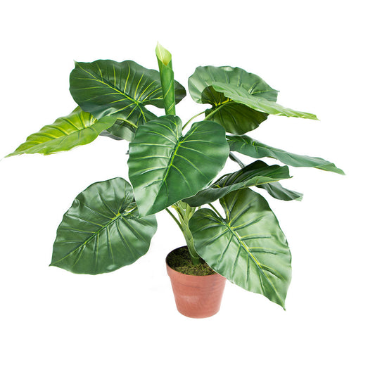 Planta Artificial Taro - Decoración Natural Sin Mantenimiento 0.73 M / Multicolor_0