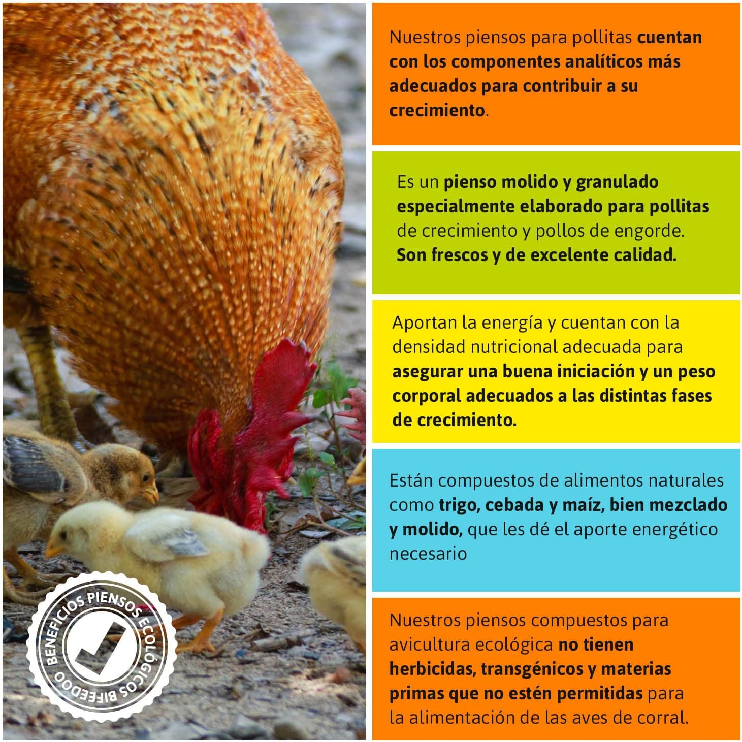 Pienso ECOLÓGICO para Pollitas Crecimiento 20kg – Alimentación Natural y Equilibrada_2