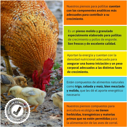 Pienso ECOLÓGICO para Pollitas Crecimiento 20kg – Alimentación Natural y Equilibrada_2