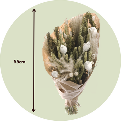 Flores Secas - Ramo 'large Bodhi'_2