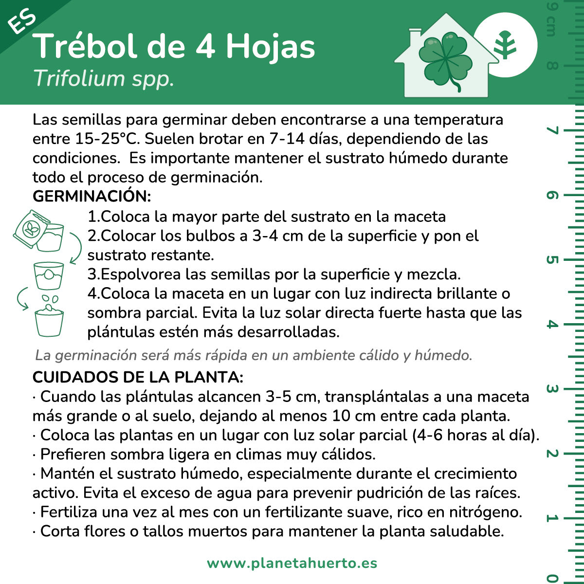 Kit de autocultivo de trevo de 4 folhas Planeta Huerto