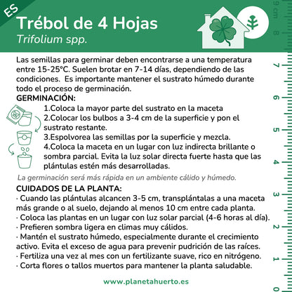Kit de autocultivo de trevo de 4 folhas Planeta Huerto
