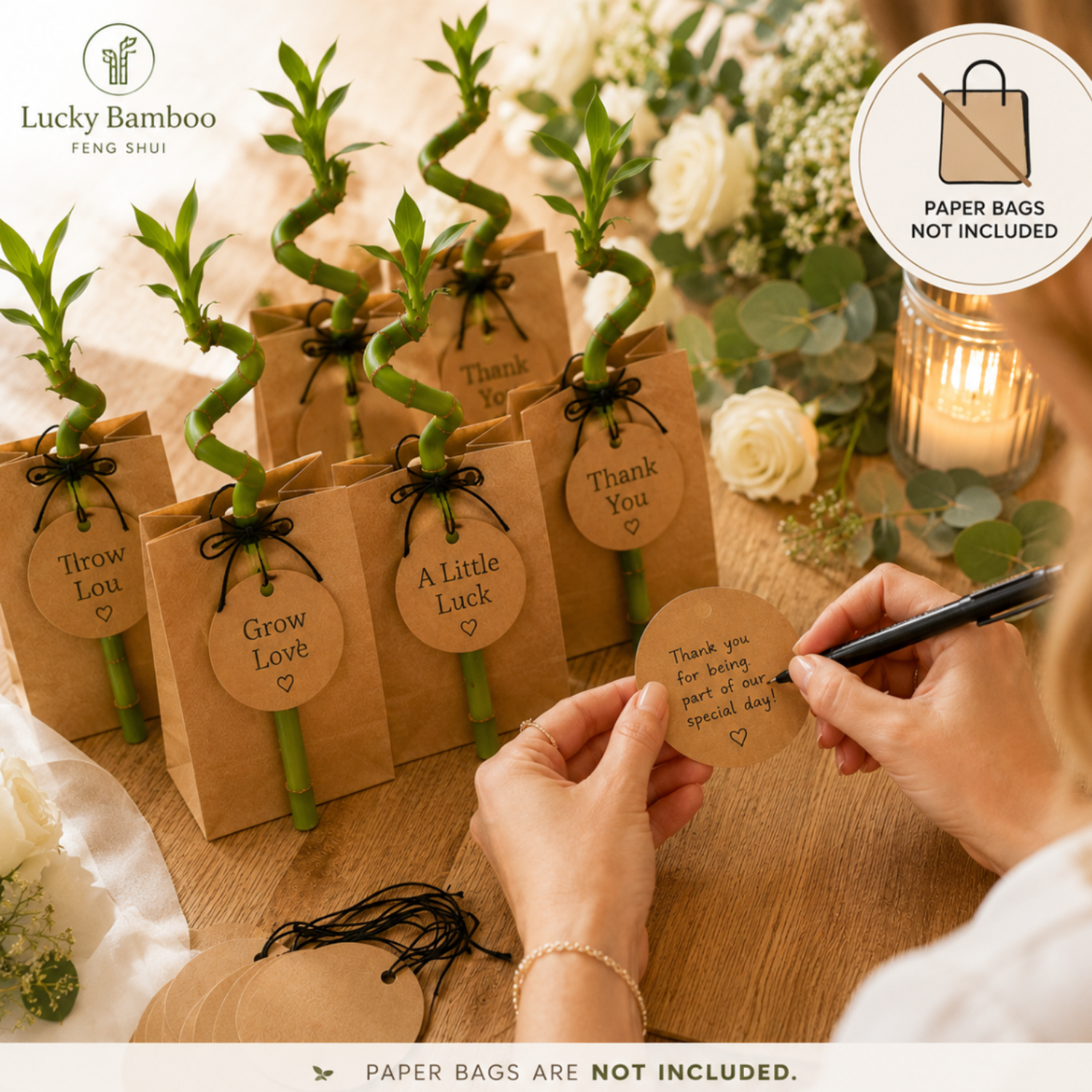 Lucky Bamboo Set De 30 Con Tarjetas - Dracaena Sanderiana - Regalo 40-45 Cm_4